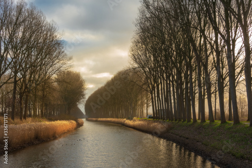 a poetic landscape in Damme, Belgium photo