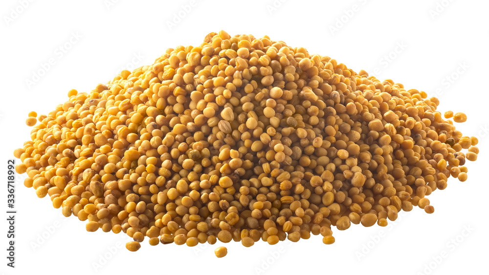 Mustard seeds s. alba, paths Mustard seeds s. alba, paths