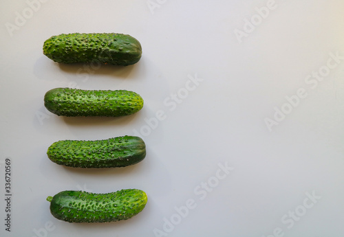 fresh green cucumbers with pimples