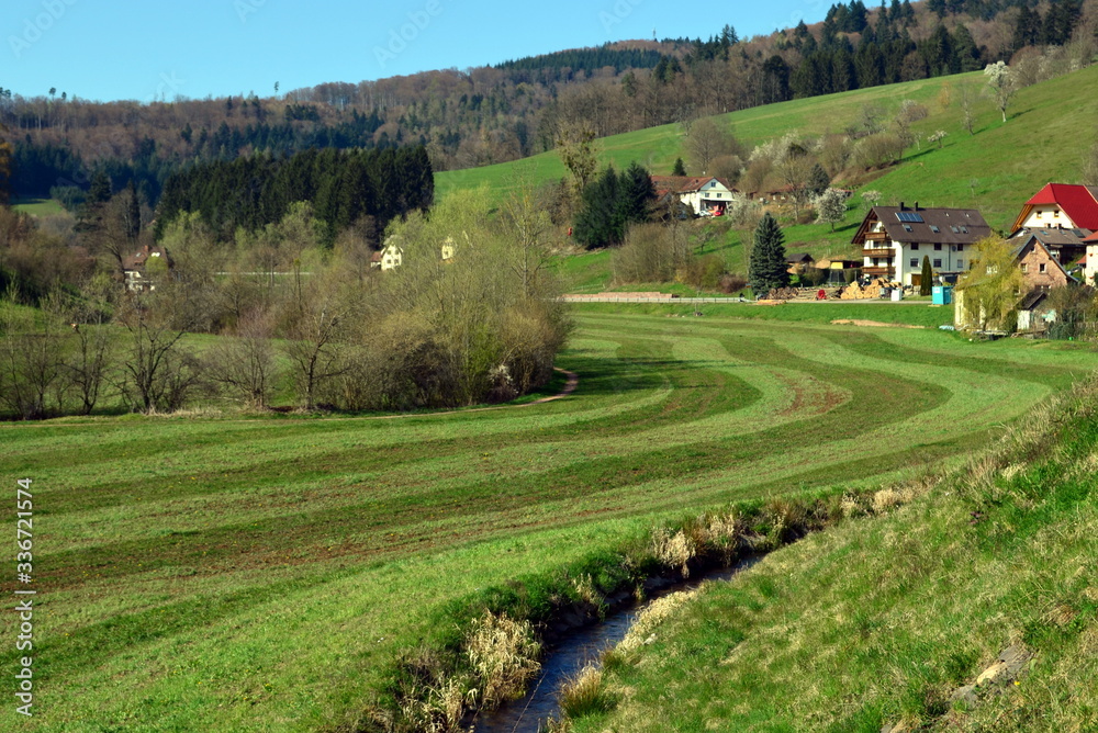 Schwarzwaldidyll in Reichenbach, Freiamt Schwarzwaldidyll in Reichenbach, Freiamt