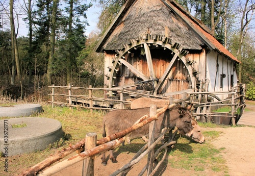 old watermill in Bokrijk, Belgium 