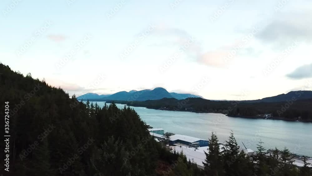 Aerial footage rising over pine trees and seeing a breathtaking and beautiful view of Tongass Narrows south of Ketchikan Alaska