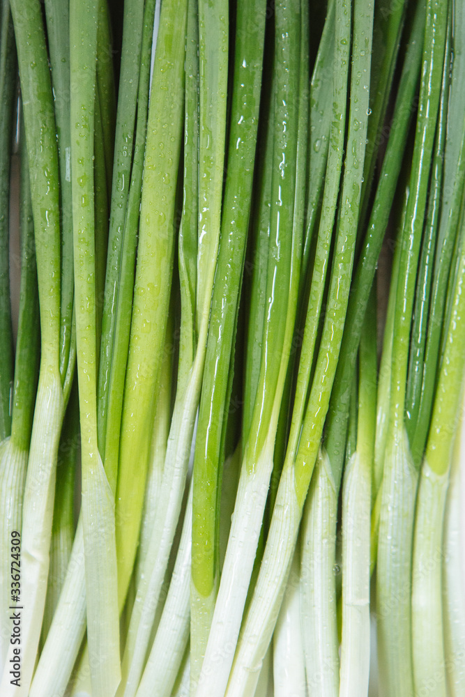 Top view of juicy green stalks of fresh young onions. You can use image for cover menu. Top view of juicy green stalks of fresh young onions. You can use image for cover menu.