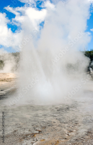 Plume Geyser erupting in the Upper Geyser Basin of Yellowstone National Park