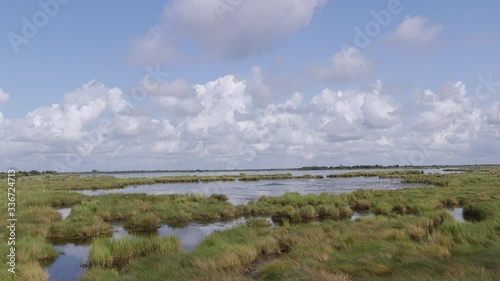 Wallpaper Mural Marshes in Terrebonne Parish in Louisiana, USA Torontodigital.ca
