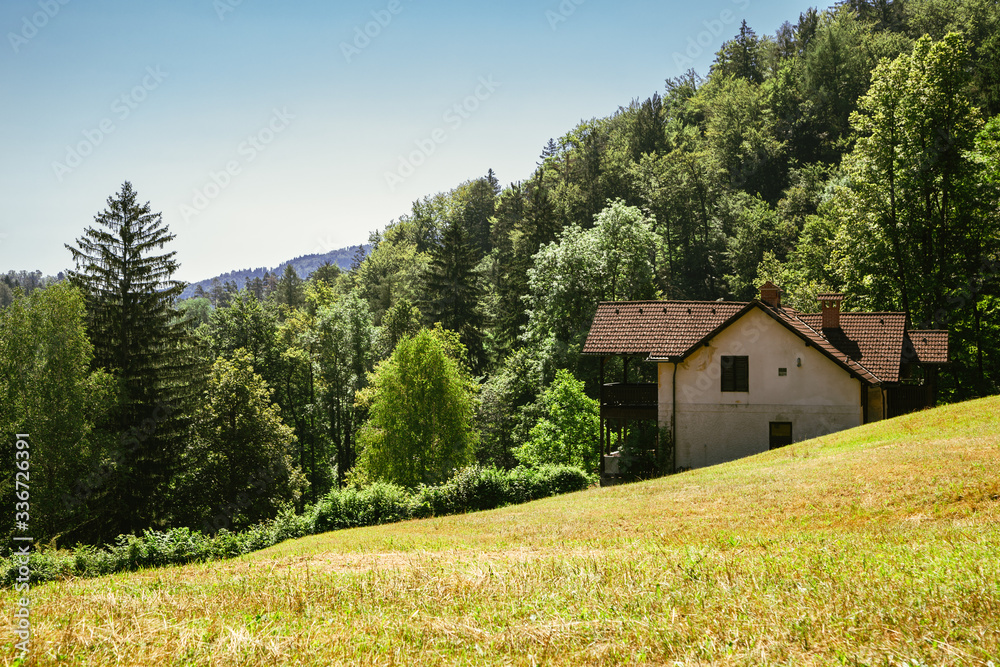 Green forest and house in Bled, Slovenia Green forest and house in Bled, Slovenia