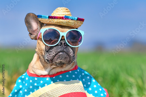 Fototapeta Naklejka Na Ścianę i Meble -  Funny French Bulldog dog dressed up with sunglasses, a colorful straw hat and poncho gown in front of blurry landscape in summer