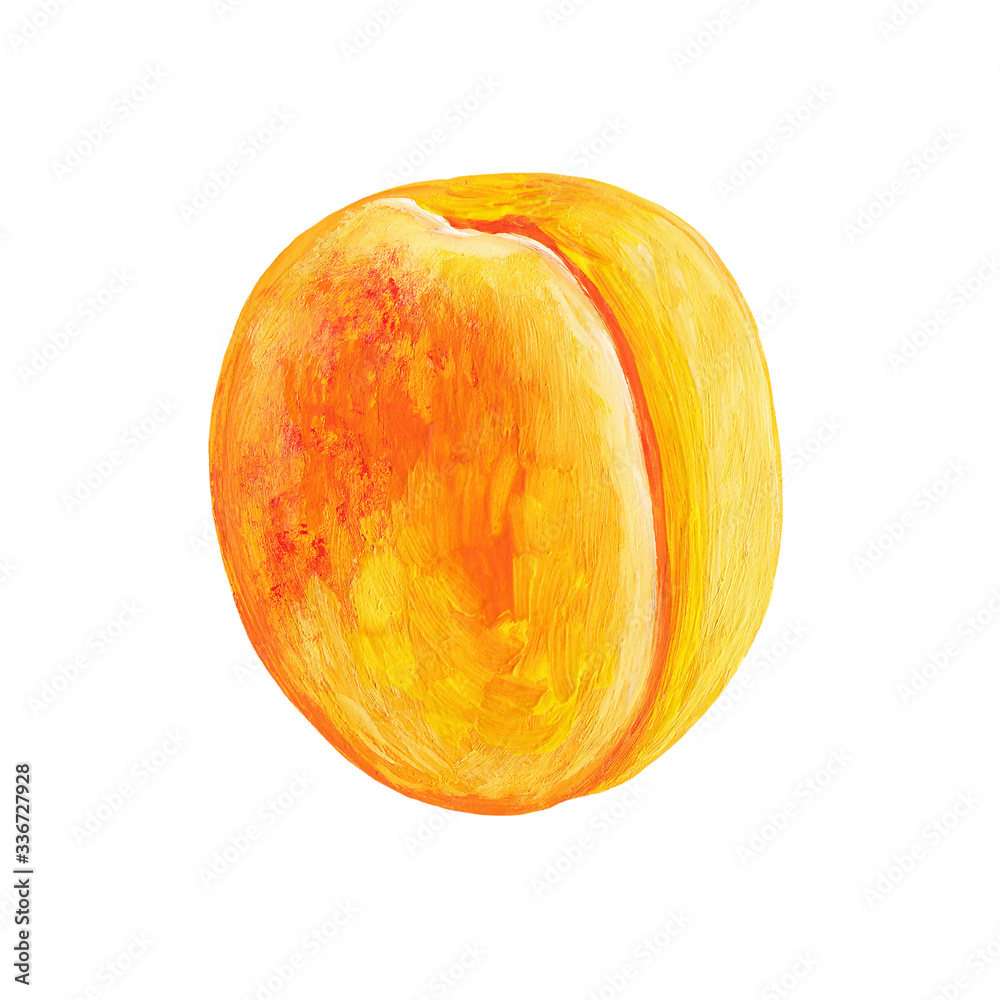 Fototapeta premium Whole ripe orange bright apricot isolated on a white background. Fruit illustration of apricot hand-drawn by gouache in the style of realism.