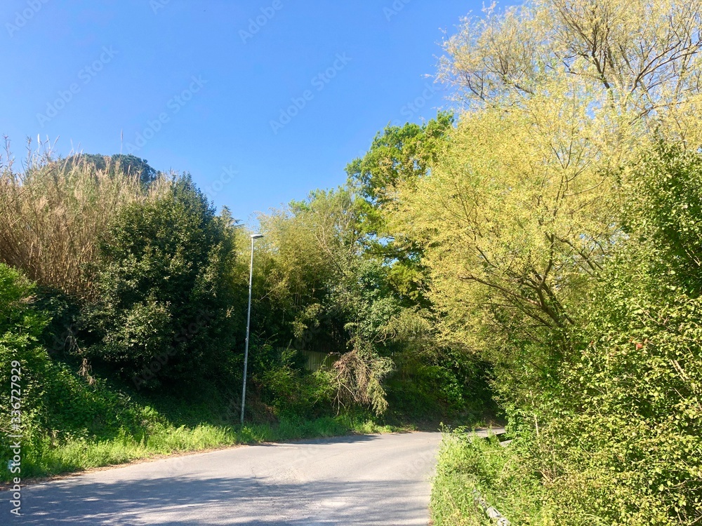 Fototapeta premium Countryside road in rome italy 