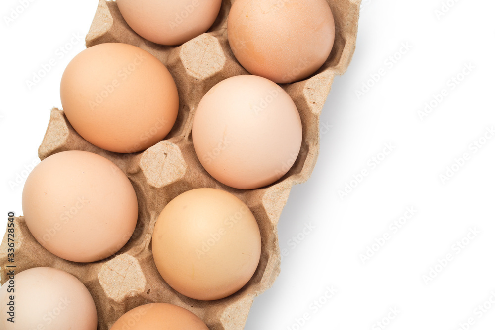  chicken eggs in an open cardboard box with eggs isolated on white. Fresh chicken eggs background.