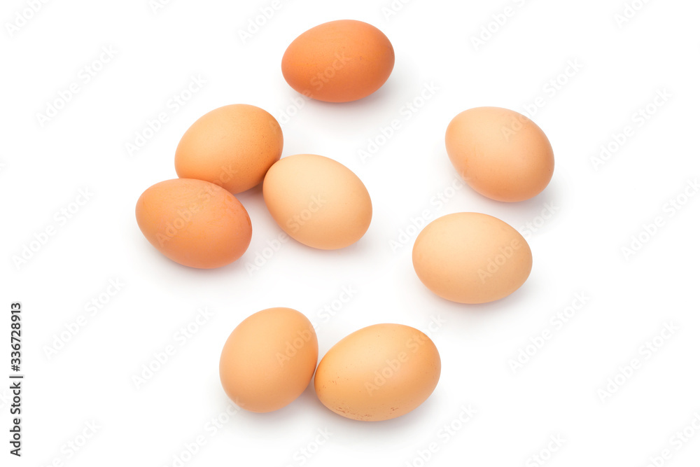 a lot of chicken eggs on a white background a lot of chicken eggs on a white background
