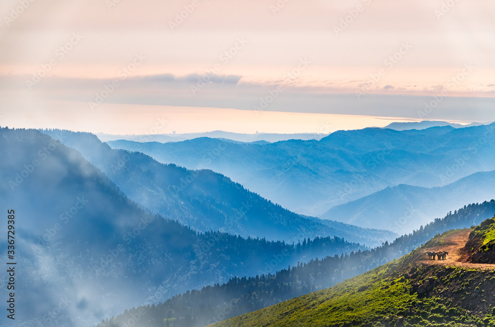Green mountain slope in dense fog. Layers of mountains in the haze during sunset. Several horses are moving along a mountain road. Krasnaya Polyana, Sochi, Caucasus, Russia.