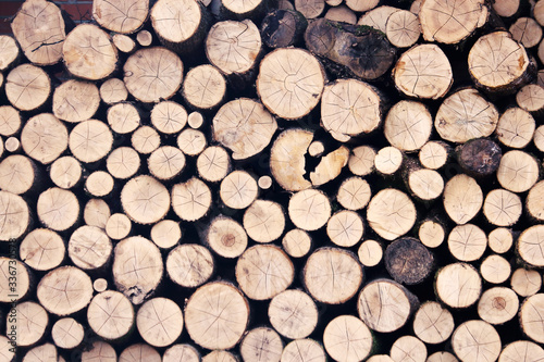 Stacked newly chopped wood logs wall background