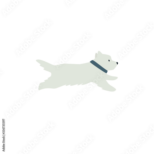 West Highland White terrier running White Dog Flat vector illustration on white background