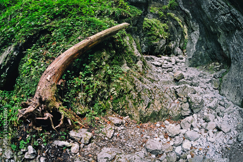 Fototapeta Naklejka Na Ścianę i Meble -  TATRY - Dolina Kościeliska -Wąwóz Kraków.