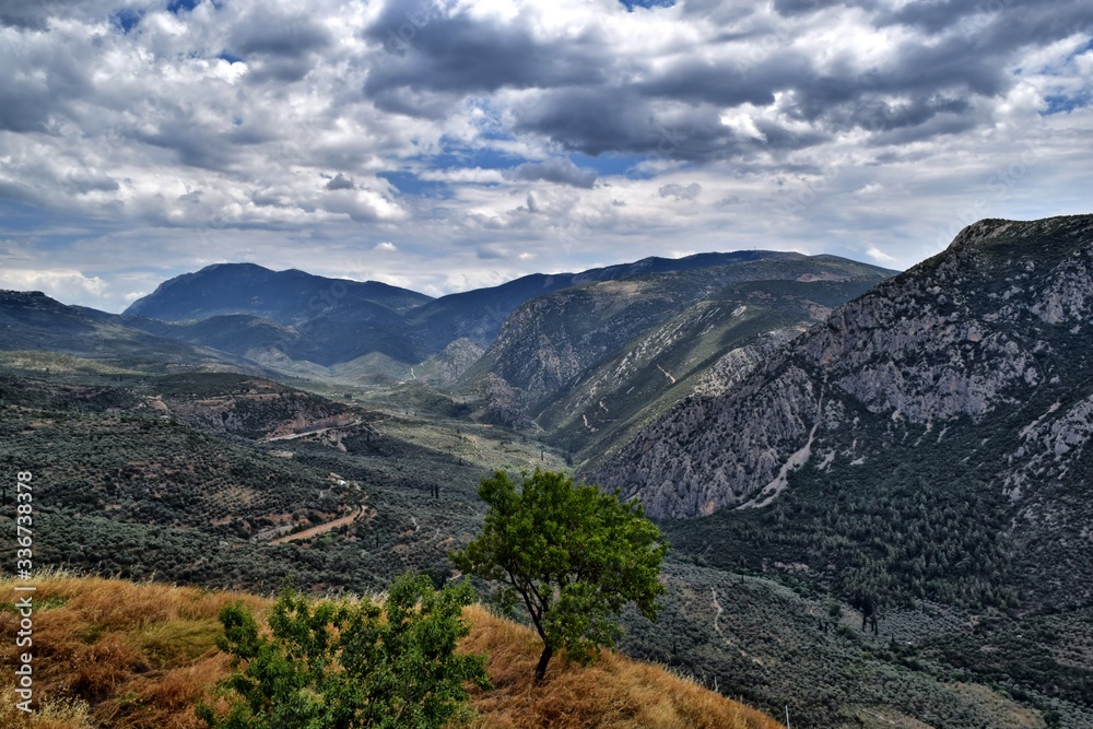 Naklejka premium delphi