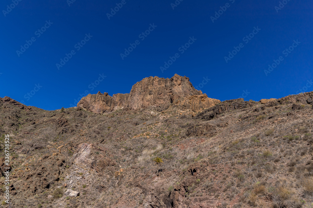 View of the hilltop on a mountainous landscape of volcanic origin along with lots of trees on the horizon, one can see the setting moon of the Gran Canary island