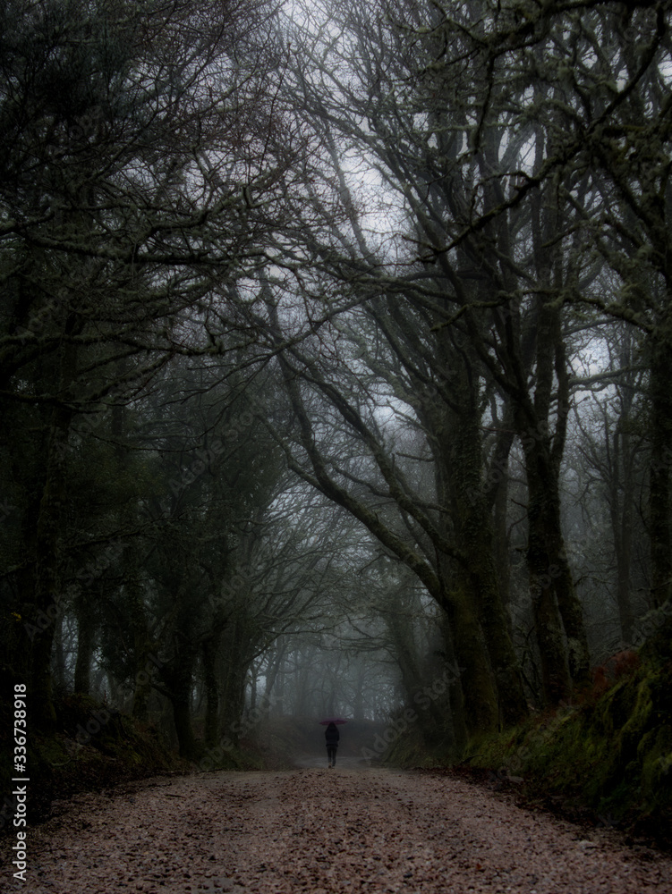 Lonely person on a foggy day in a portuguese forest (Corno de Bico, Paredes de Coura)