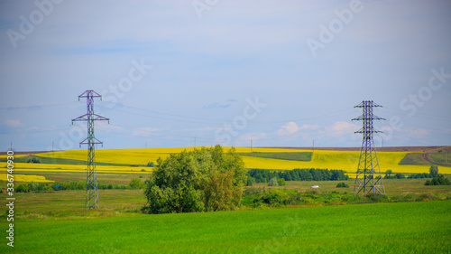 high-voltage power lines in the field, metal pylons, blooming rapeseed in the distance, light cloudiness