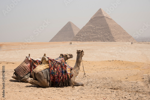 Giza pyramids  next to Cairo in Egypt  Africa. Huge and historic buildings.