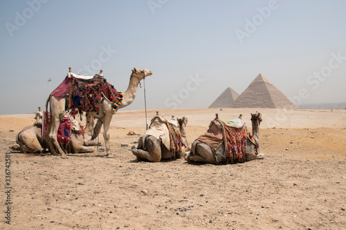 Giza pyramids, next to Cairo in Egypt, Africa. Huge and historic buildings.