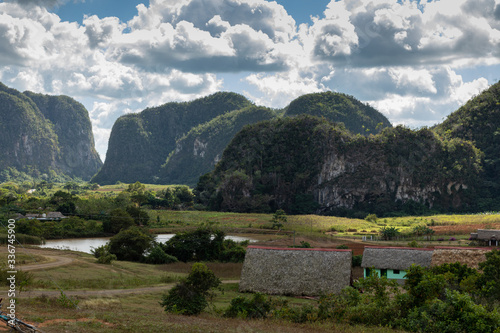 The Vinales Valley (Valle de Vinales), popular tourist destination. Tobacco plantation. Pinar del Rio, Cuba.