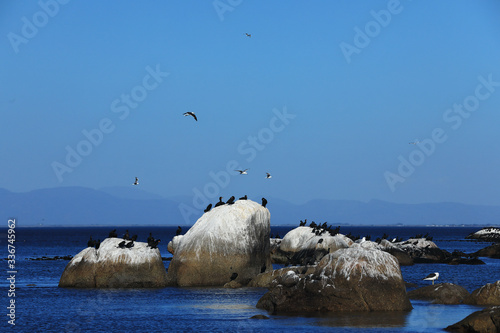 Granite boulder landsccape at the shore photo