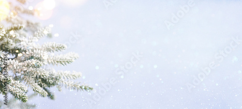 Christmas tree branch, holiday background © VAlekStudio 