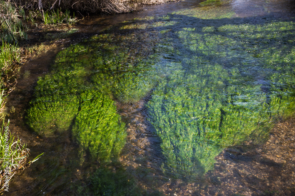 Naklejka premium Chalk Stream River