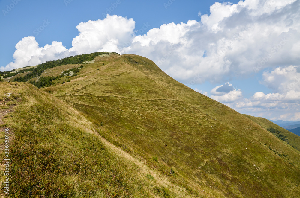 View of the Carpathian Mountains near the top of Mount Strymba. Summer landscape panorama with green forest meadow and blue cloudy sky. Ukraine View of the Carpathian Mountains near the top of Mount Strymba. Summer landscape panorama with green forest meadow and blue cloudy sky. Ukraine