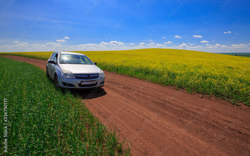 a car on a country road on the edge of a blooming rapeseed field on a sunny day a car on a country road on the edge of a blooming rapeseed field on a sunny day