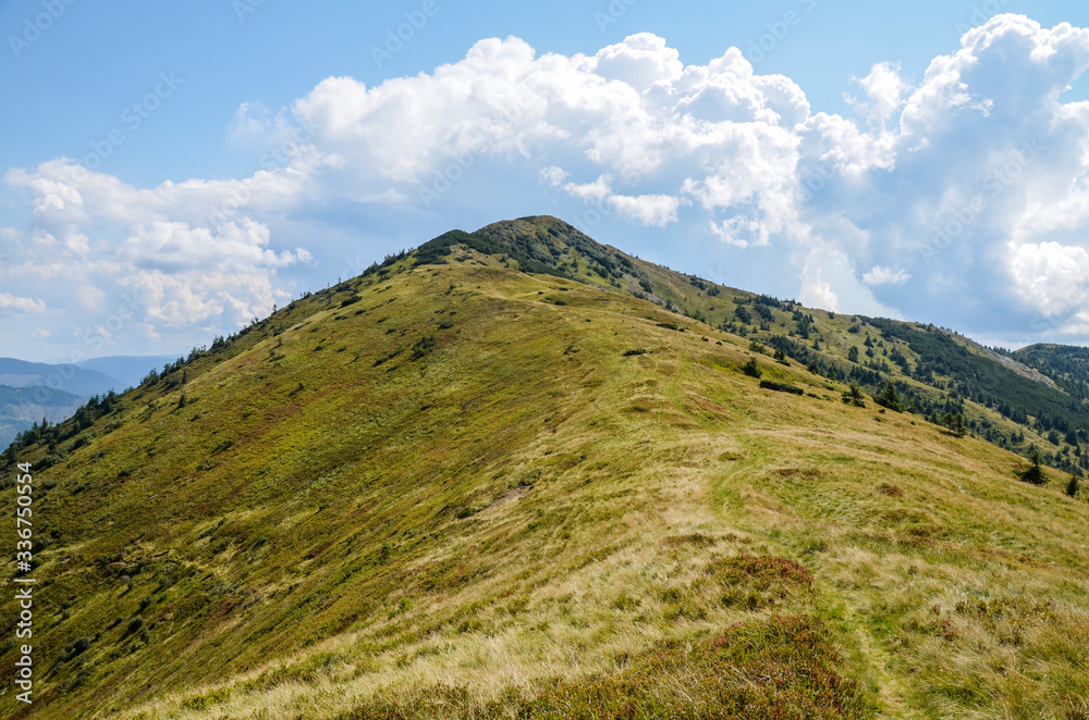 Fototapeta premium View of the Carpathian Mountains near the top of Mount Strymba. Summer landscape panorama with green forest meadow and blue cloudy sky. Ukraine 