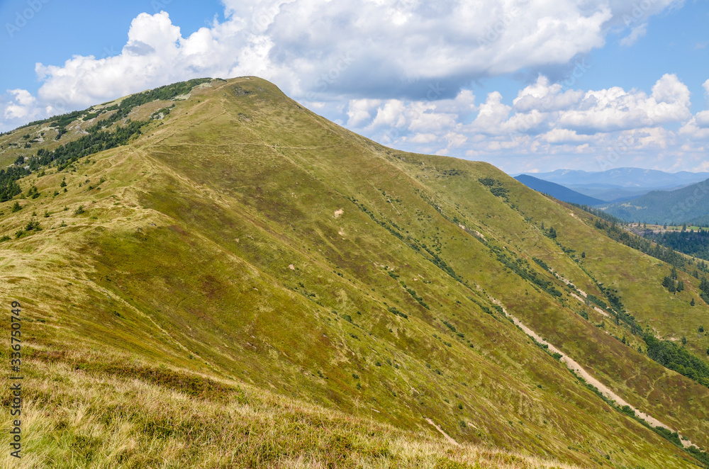 View of the Carpathian Mountains near the top of Mount Strymba. Summer landscape panorama with green forest meadow and blue cloudy sky. Ukraine
View of the Carpathian Mountains near the top of Mount Strymba. Summer landscape panorama with green forest meadow and blue cloudy sky. Ukraine