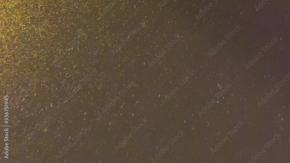 Real Falling Snow at night close-up overlay