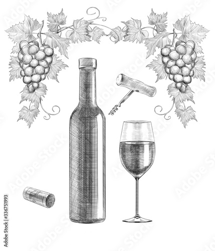 Sketch of wine still life on white background. engraving or drawing.