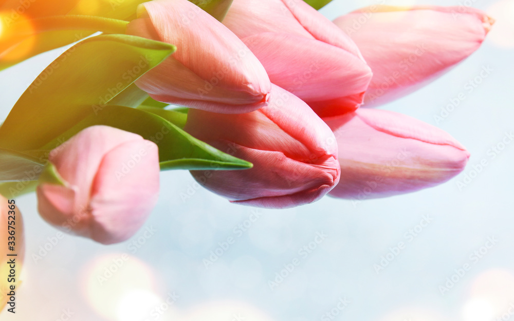 Spring flowers. Tulip bouquet on the wooden background. Spring flowers. Tulip bouquet on the wooden background.