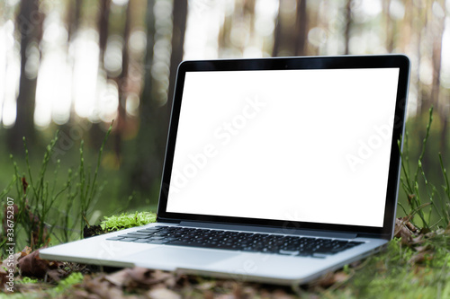 Wallpaper Mural Laptop outside concept. Empty copy space, blank screen mockup. Soft focus laptop in nature background. Ecology travel and work outside office concept. Torontodigital.ca