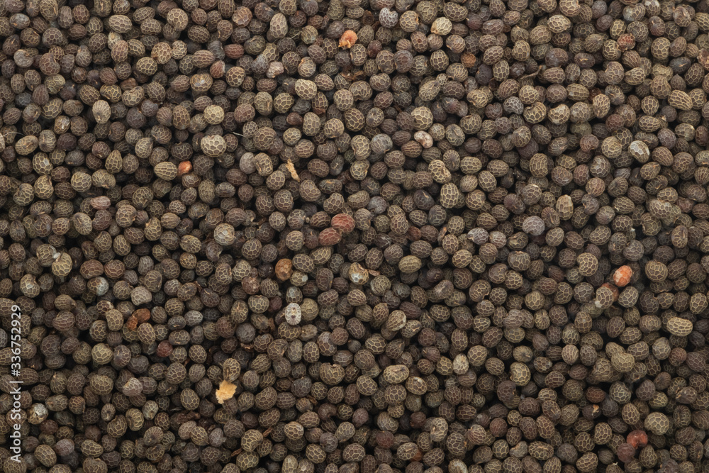 Poppy seed. Poppy seeds as background. Poppy seed. Poppy seeds as background.