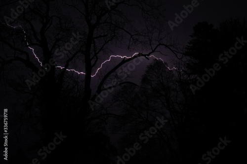 A Violent Lightning Strike at Night Behind Silhouetted Trees