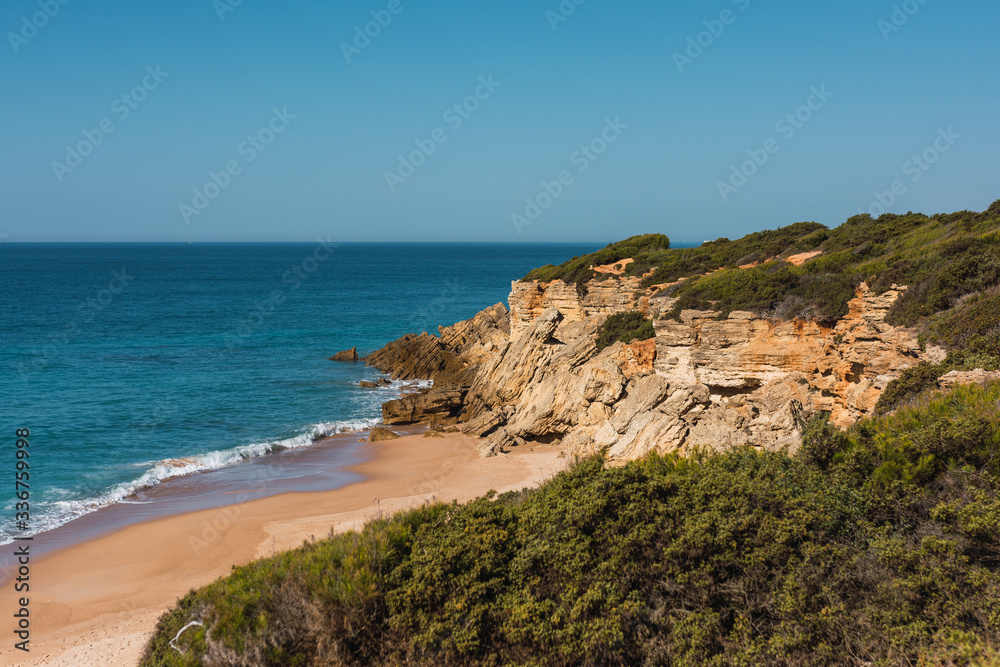beach landscape surrounded by trees and nature on the beach and sea with rocks and blue sky