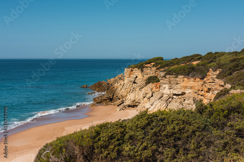beach landscape surrounded by trees and nature on the beach and sea with rocks and blue sky