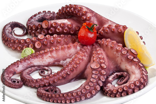 Whole octopus garnished with a slice of lemon cherry tomato, placed on a plate on a white background, ready to cook.