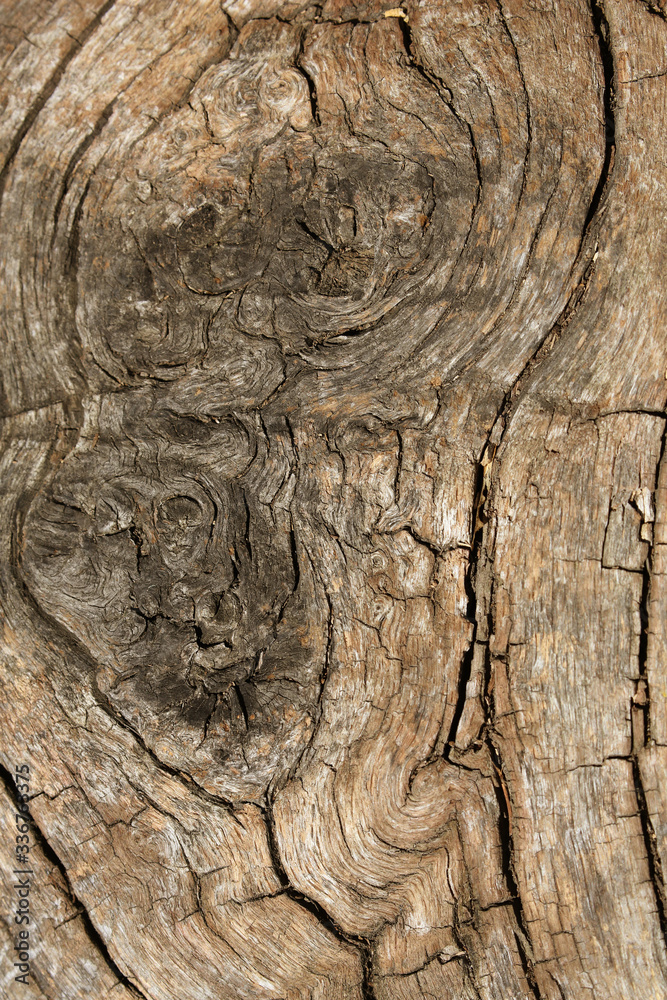 Fototapeta premium light brown wooden texture.