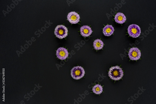 Abstract flower heart from callistephus chinensis. Isolated on a dark background. Can be used for banners, invitations.
