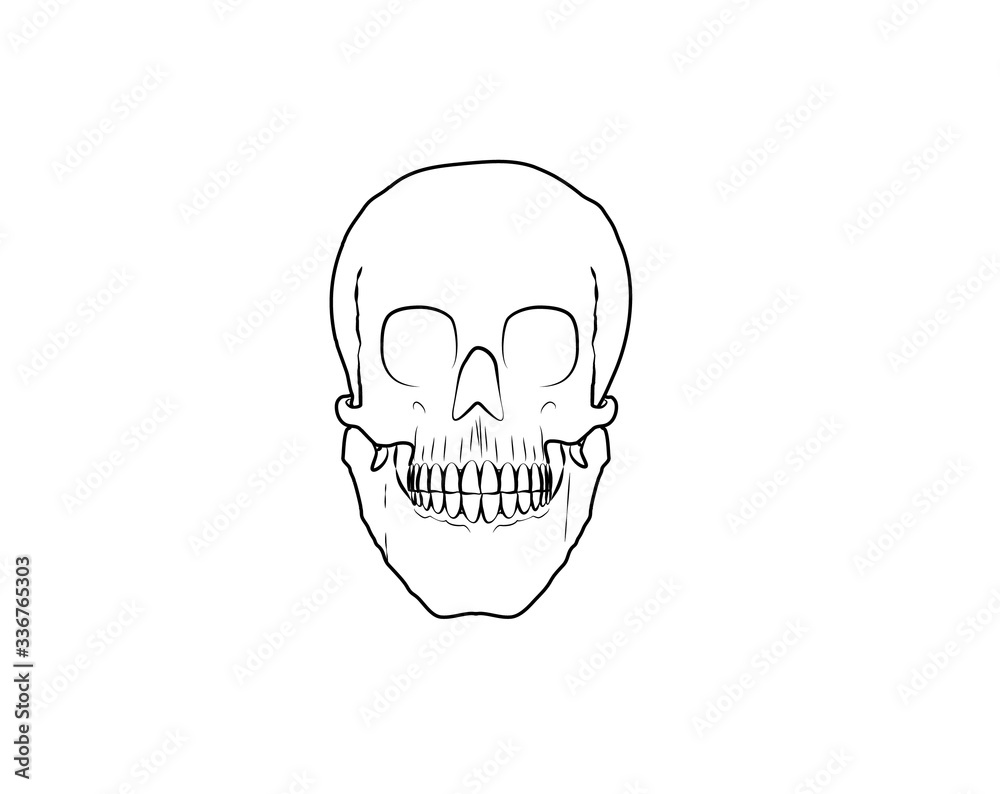 skull and crossbones skull and crossbones