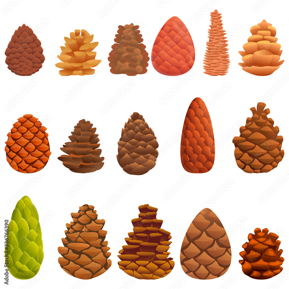 Pine cone icons set. Cartoon set of pine cone vector icons for web design Pine cone icons set. Cartoon set of pine cone vector icons for web design