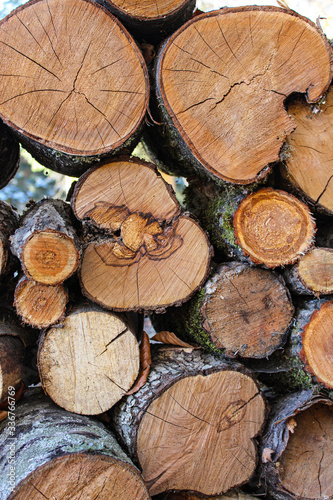 Fototapeta Naklejka Na Ścianę i Meble -  Sawed a tree. Firewood. Growth rings.