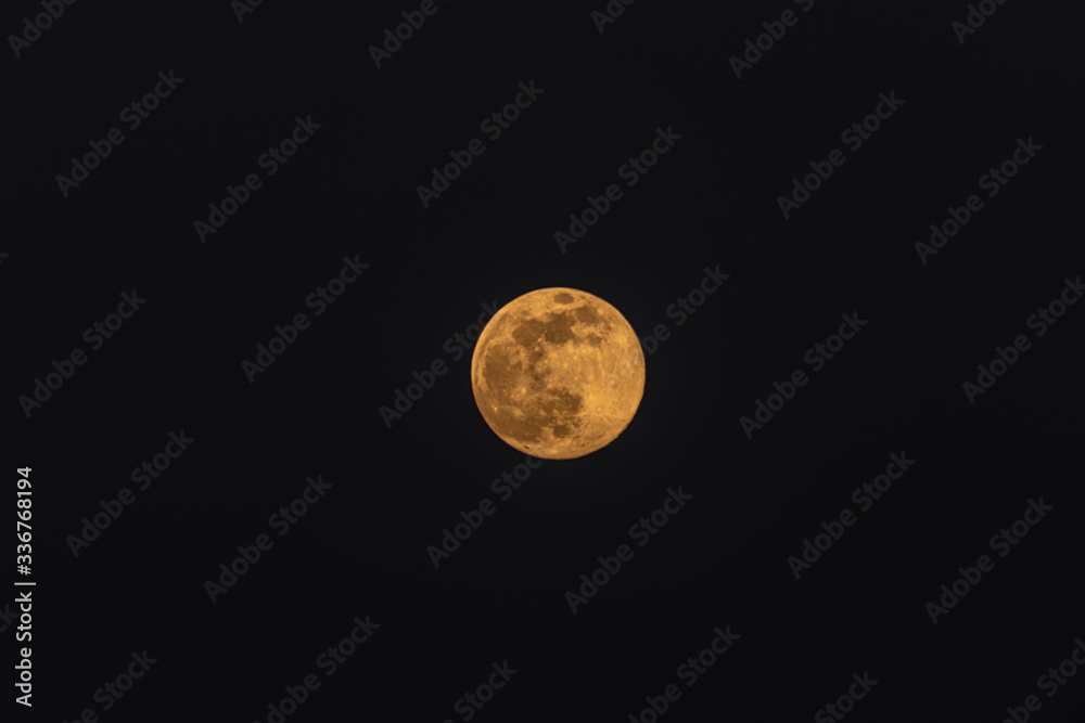 Yellow orange full moon in spring evening on dark nice sky Yellow orange full moon in spring evening on dark nice sky