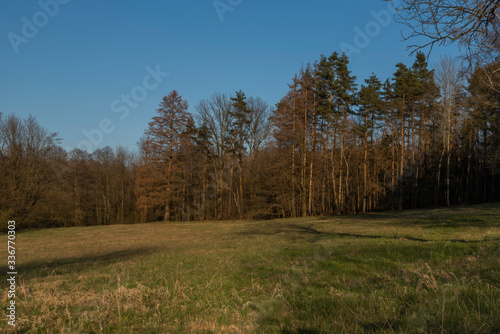 Medows and pasture lands near Ceske Budejovice city in south Bohemia