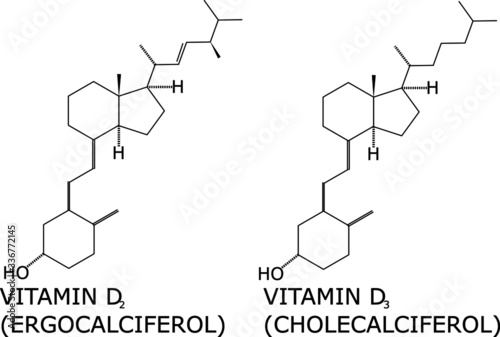 Vitamin D2 and D3 molecular structure vector. Helps calcium absorption on the bones, and is important in muscles, nerves and the immune system. Present in fish, animal liver and cheese